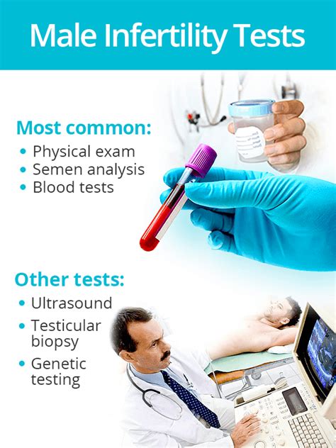 male infertility tests